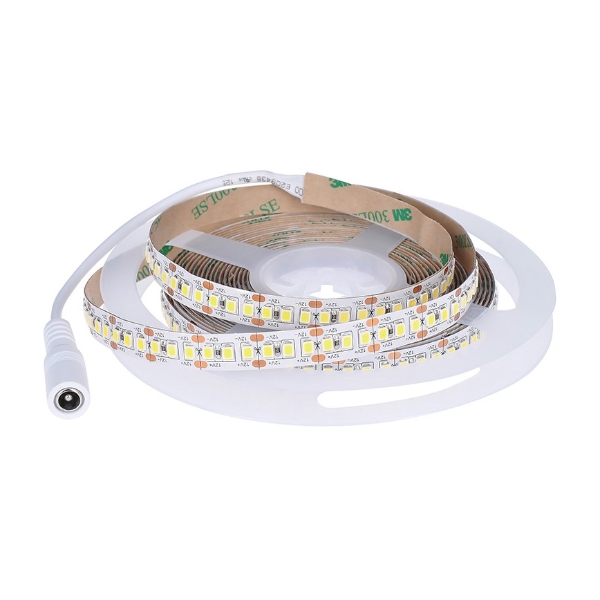 Cinta LED LED/80W/12V 5m blanco frío