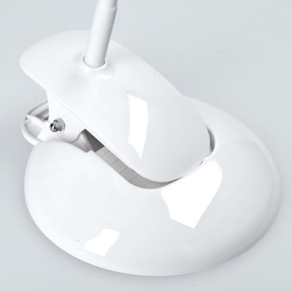 Lámpara LED de mesa regulable pedestal y clip LED/5W/230V