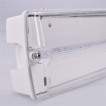 Luz de emergencia LED LED/6W/230V IP65 6500K