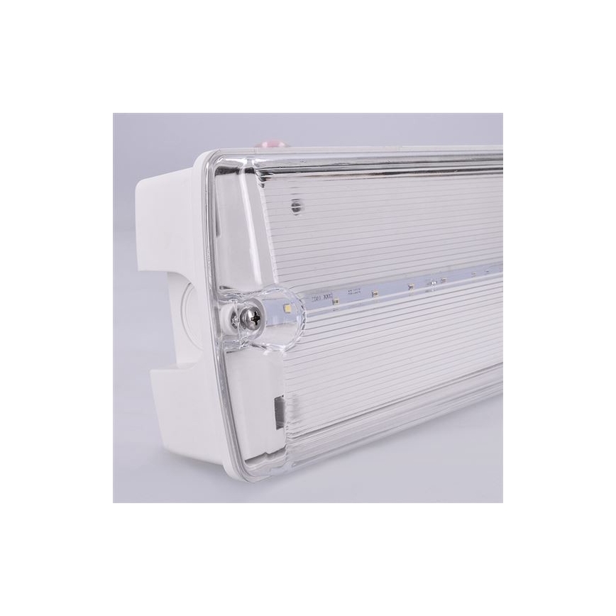Luz de emergencia LED LED/6W/230V IP65 6500K