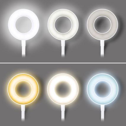 Lámpara de mesa LED regulable con pinza LED/8W/230V 3000/4000/5000K blanca