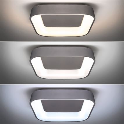 Lámpara de techo LED regulable TREVISO LED/48W/230V + mando a distancia