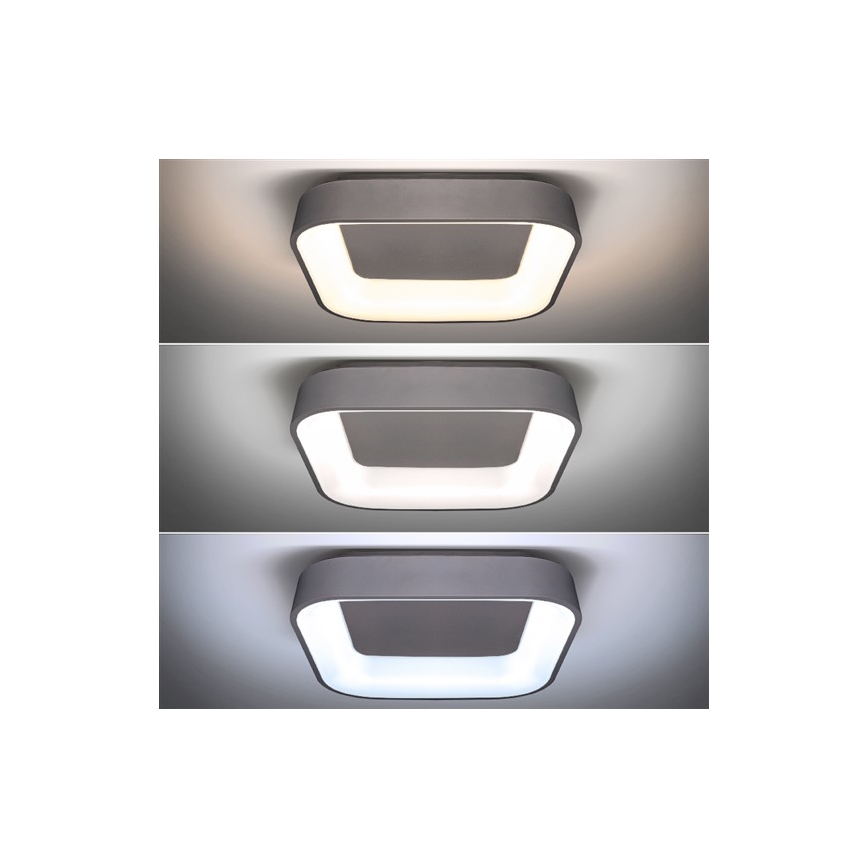 Lámpara de techo LED regulable TREVISO LED/48W/230V + mando a distancia