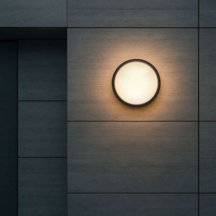 Aplique LED de pared exterior 2 en 1 LED/20W/230V 3000/4000/6500K IP65 Ø 22 cm