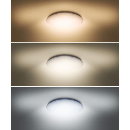 Plafón LED PLAIN LED/36W/230V 3000/4000/6000K redondo