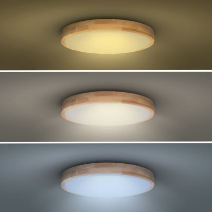 Plafón LED regulable SOLID OAK LED/60W/230V 3000-6500K roble diá. 51 cm + control remoto