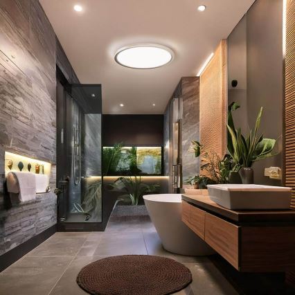 Lámpara de techo LED para baño ACATE LED/24W/230V 3000/4000/6000K Ø 29,3 cm IP54