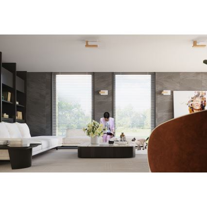 Lámpara de techo LAPPO 2xE27/15W/230V beige