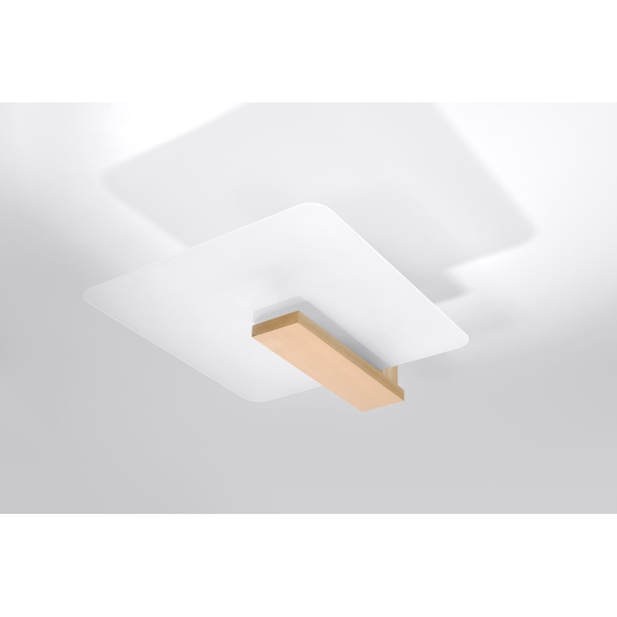 Lámpara de techo LAPPO 2xE27/15W/230V beige