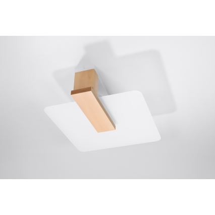 Lámpara de techo LAPPO 2xE27/15W/230V beige