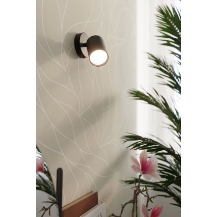 Aplique de pared con foco LEMMI 1xGU10/40W/230V negro