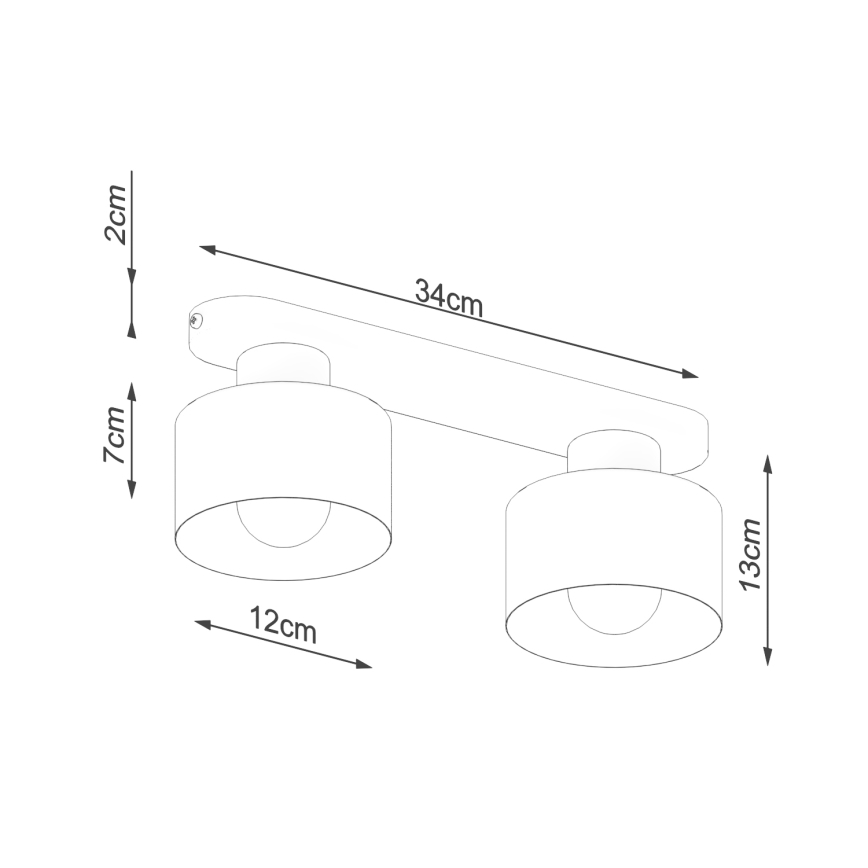 Lámpara de techo SAVAR 2xE27/60W/230V negra