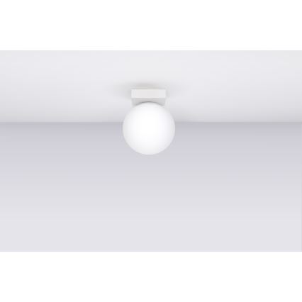 Lámpara de techo YOLI 1xG9/12W/230V blanca