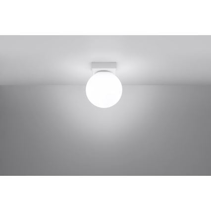 Lámpara de techo YOLI 1xG9/12W/230V blanca