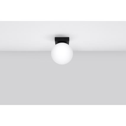 Lámpara de techo YOLI 1xG9/12W/230V negra