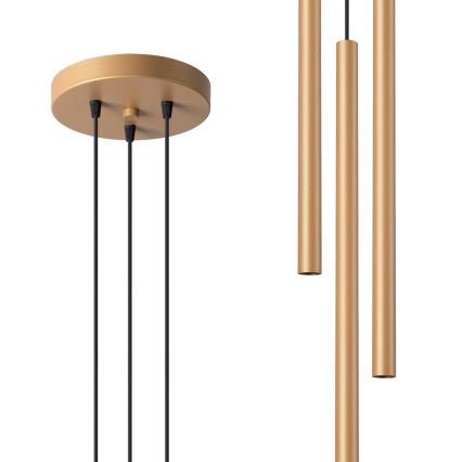 Lámpara colgante PASTELO 3xG9/8W/230V dorado