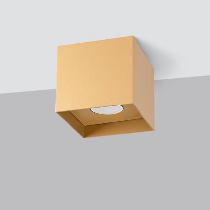 Foco HATI 1xGU10/10W/230V dorado