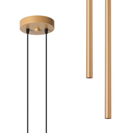 Lámpara colgante PASTELO 2xG9/8W/230V dorado