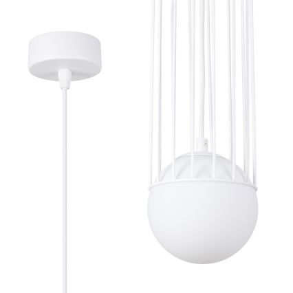 Lámpara colgante BRINA 1xG9/8W/230V blanco