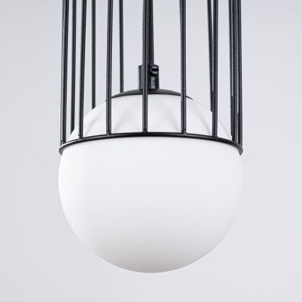 Lámpara colgante BRINA 1xG9/8W/230V negro
