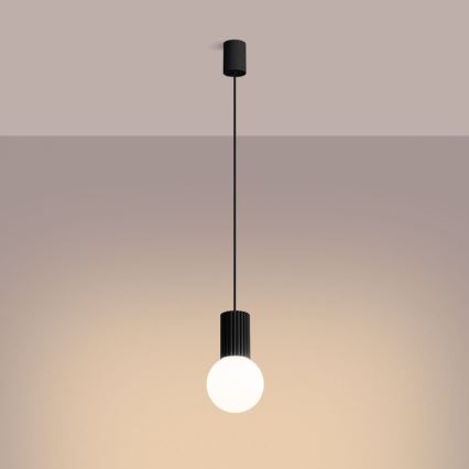 Lámpara colgante HALO 1xG9/8W/230V diá. 12 cm negro