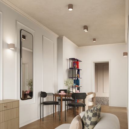 Foco orientable AURA 2xGU10/10W/230V taupe