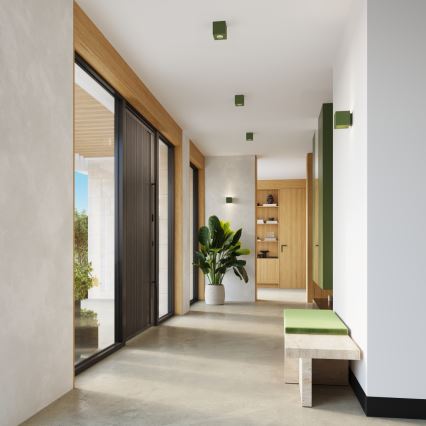 Foco orientable QUAD 1xGU10/10W/230V hormigón/verde