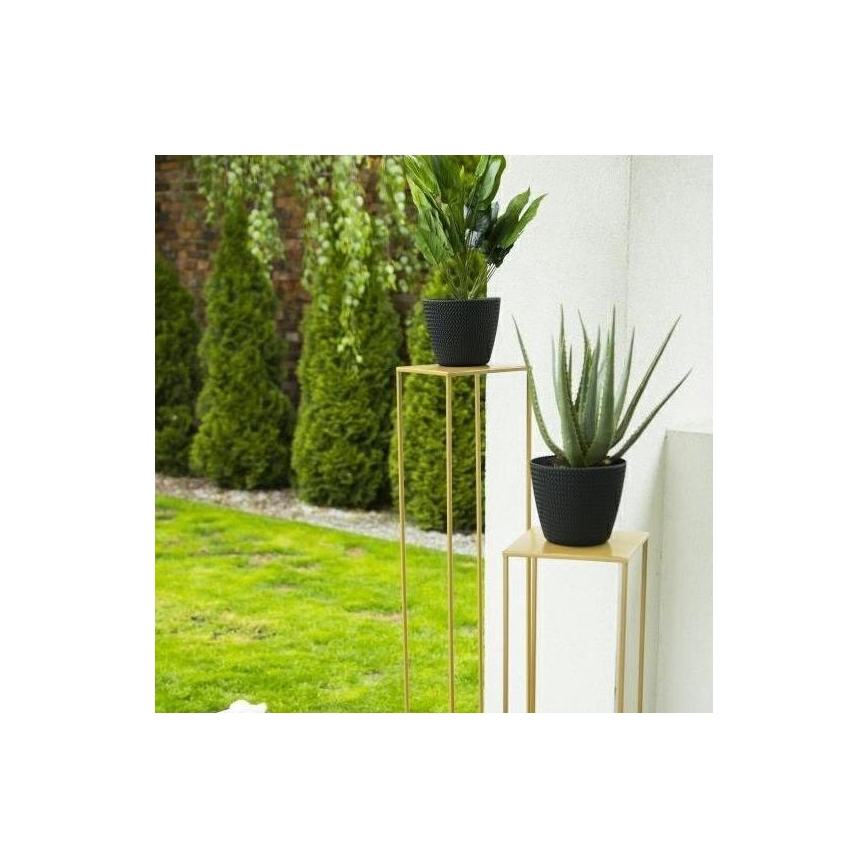 Soporte para plantas 130x24 cm dorado