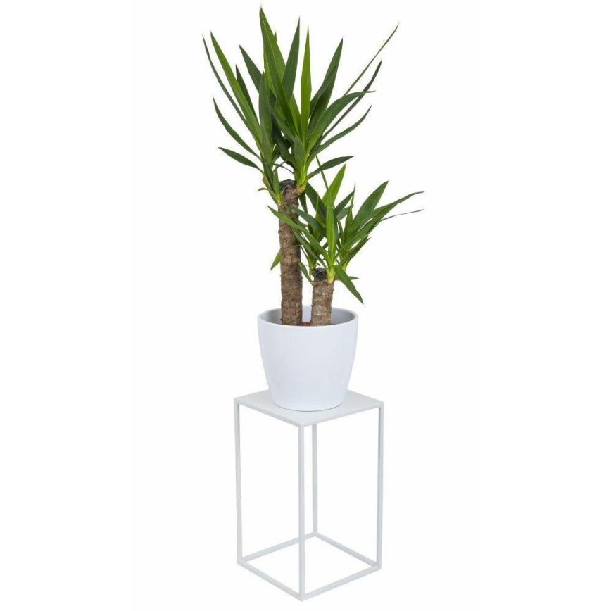 Soporte para flores 40x24 cm blanco