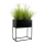 Soporte para plantas 50x44 cm negro