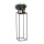Soporte para plantas BASICLOFT 80x24 negro