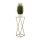 Soporte para plantas LOFT 70x24 cm dorado/blanco