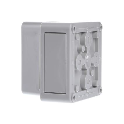 Spelsberg 11090301 - Caja técnica TK PS 99-8-o IP66