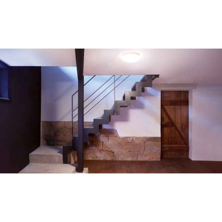 STEINEL 008383 - Iluminación LED para el baño con sensor RS16LED LED/9,5W/230V IP44