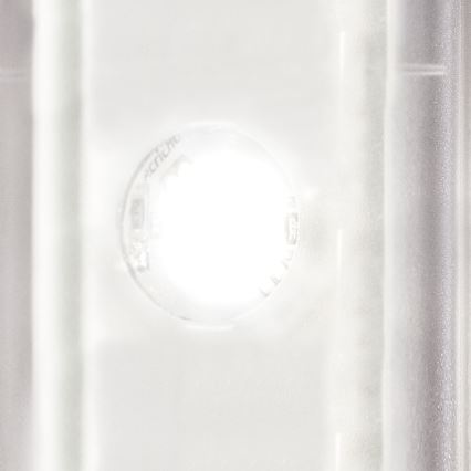 STEINEL 010461 - Lámpara LED con sensor para exterior L240LED LED/7,5W acero inoxidable IP44
