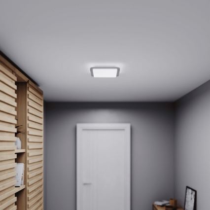 Steinel 052539 - LED Plafón con sensor LED/9,5W/230V