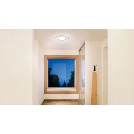 Steinel 052539 - LED Plafón con sensor LED/9,5W/230V