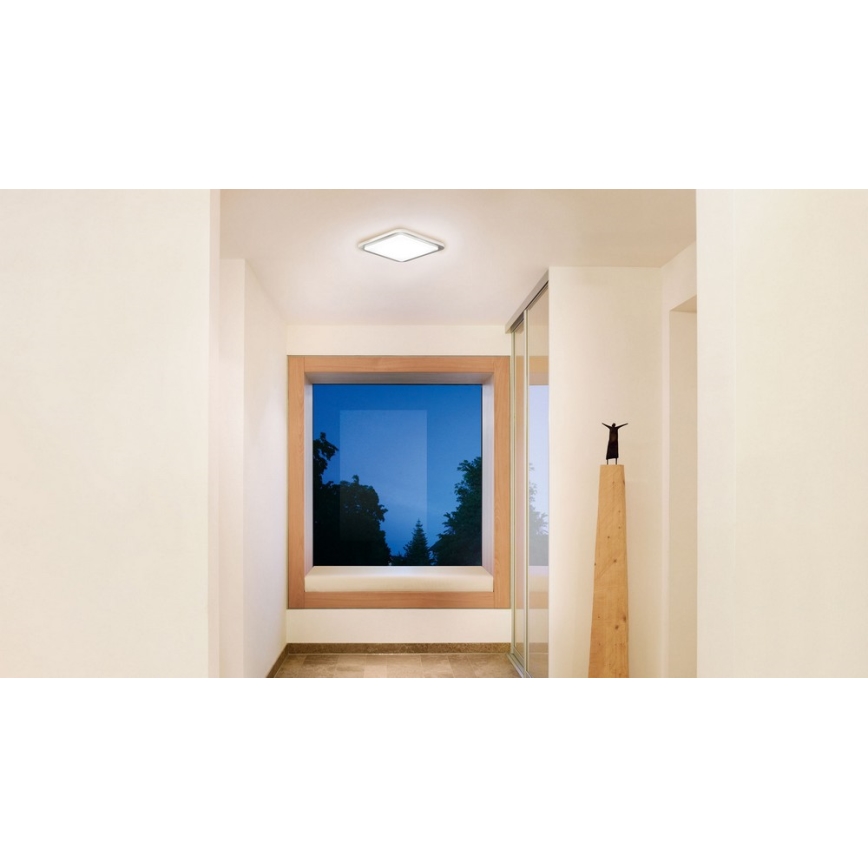 Steinel 052539 - LED Plafón con sensor LED/9,5W/230V