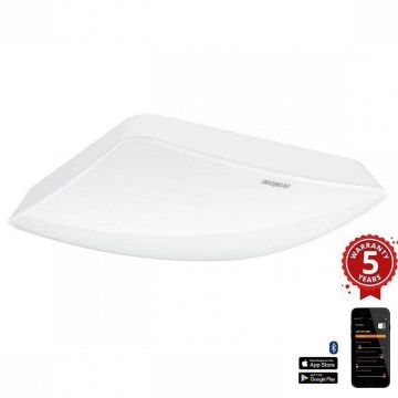 Steinel 057947 - Detector de movimiento TRUE PRESENCE COM2 blanco