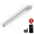 Steinel 058739 - Lámpara industrial LED con sensor RS PRO 5150SC LED/42W/230V IP66 4000K