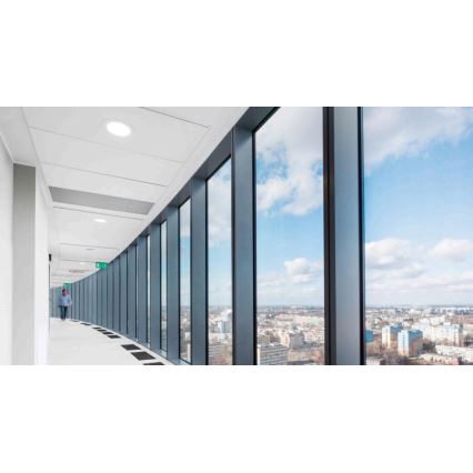 Steinel 064488 - Detector de presencia Hallway KNX blanco
