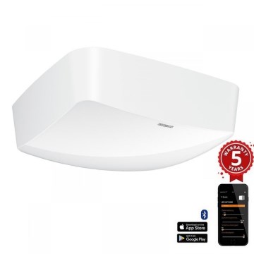 Steinel 064525 - Detector de presencia True Presence BT IPD (Slave) IP54 blanco