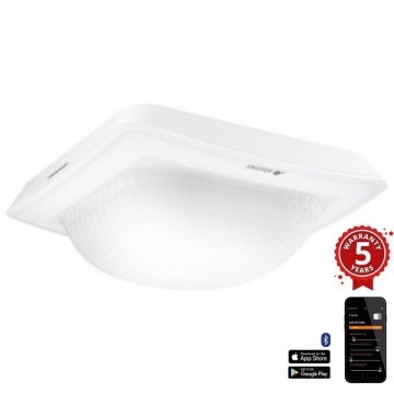 Steinel 065959 - Detector de presencia IR QUATTRO HD-2 IP blanco