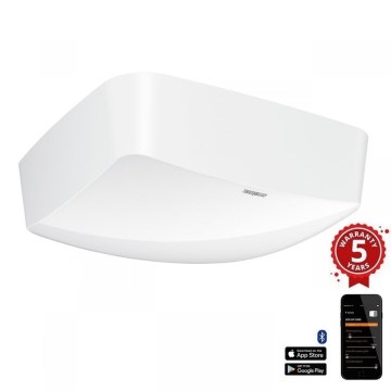 Steinel 066024 - Detector de presencia True Presence IP blanco