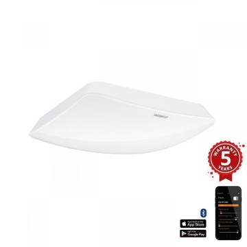 Steinel 066031 - Detector de presencia True Presence IP blanco