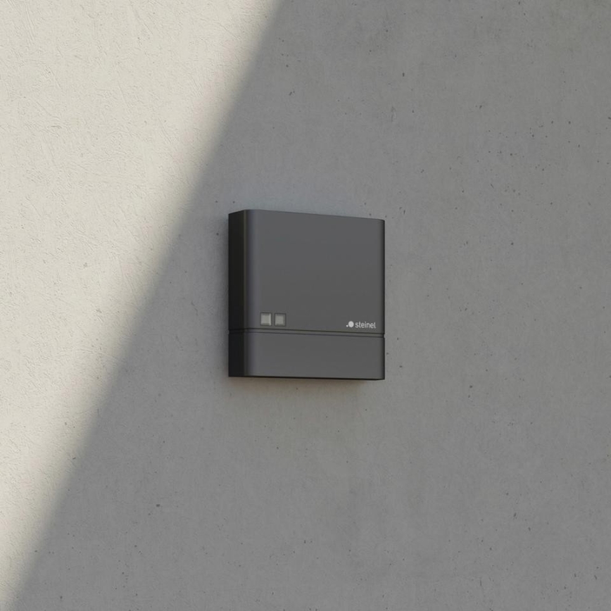 Steinel 066116 - Interruptor crepuscular NIGHTMATIQ Plus IP54 antracita