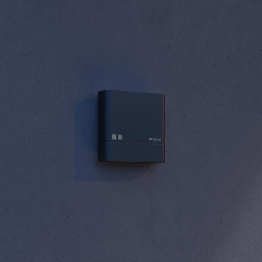 Steinel 066116 - Interruptor crepuscular NIGHTMATIQ Plus IP54 antracita