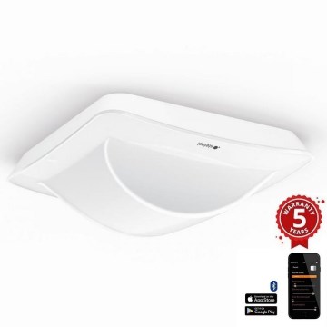Steinel 066161 - Detector de movimiento HALLWAY blanco