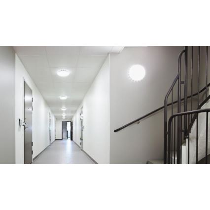 Steinel 067564 - Plafón LED regulable con sensor RS PRO S20 SC LED/15,7W/230V 3000K