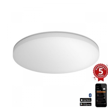 Steinel 067700 - Plafón LED regulable con sensor RS PRO R10 PLUS SC 8,5W/230V IP40 4000K